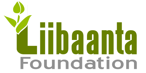 liibaantafoundation.org
